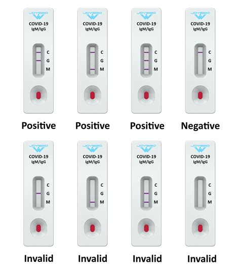 test kit covid result|How to interpret COVID.